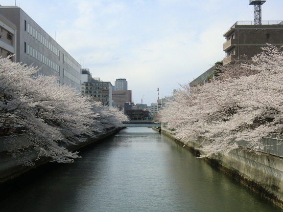a0185236_23424118.jpg
