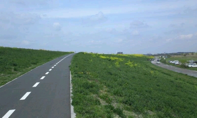 d0107938_11583213.jpg