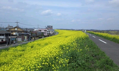d0107938_11584478.jpg
