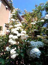b0240739_1050744.jpg