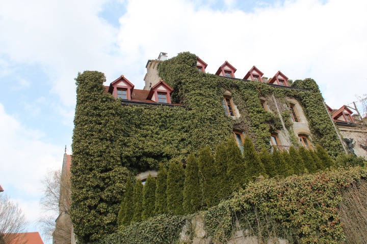 c0153740_0215867.jpg