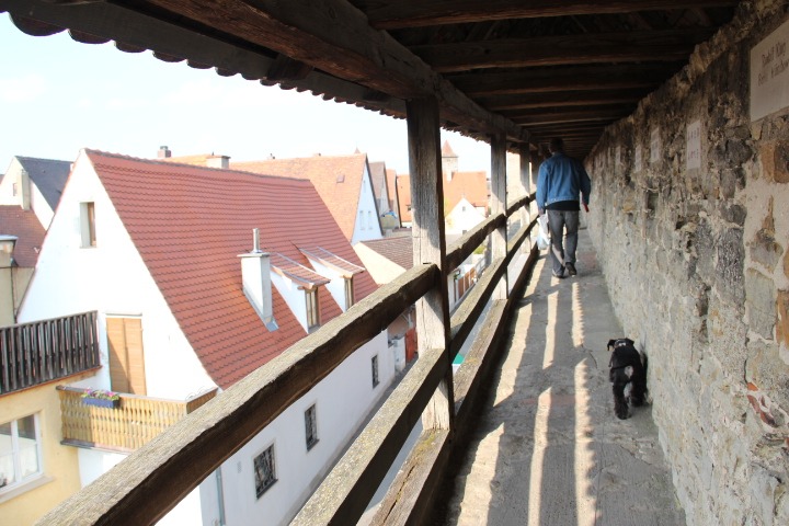 c0153740_118100.jpg