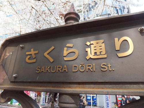 c0239342_033726.jpg