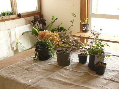 e0095048_2121589.jpg