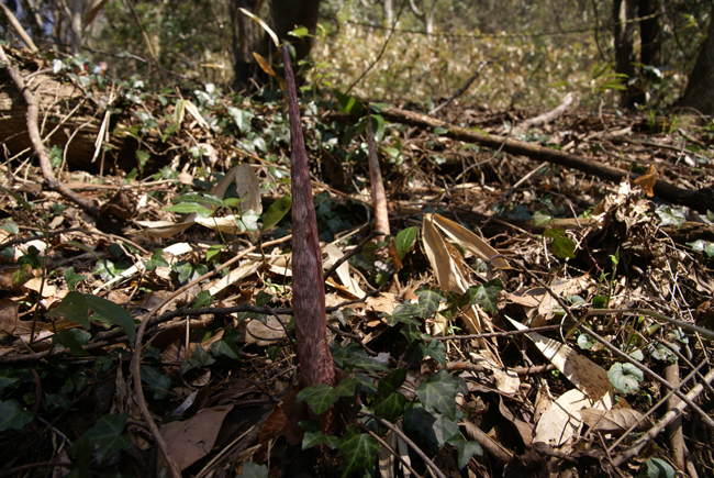 f0214649_5194899.jpg
