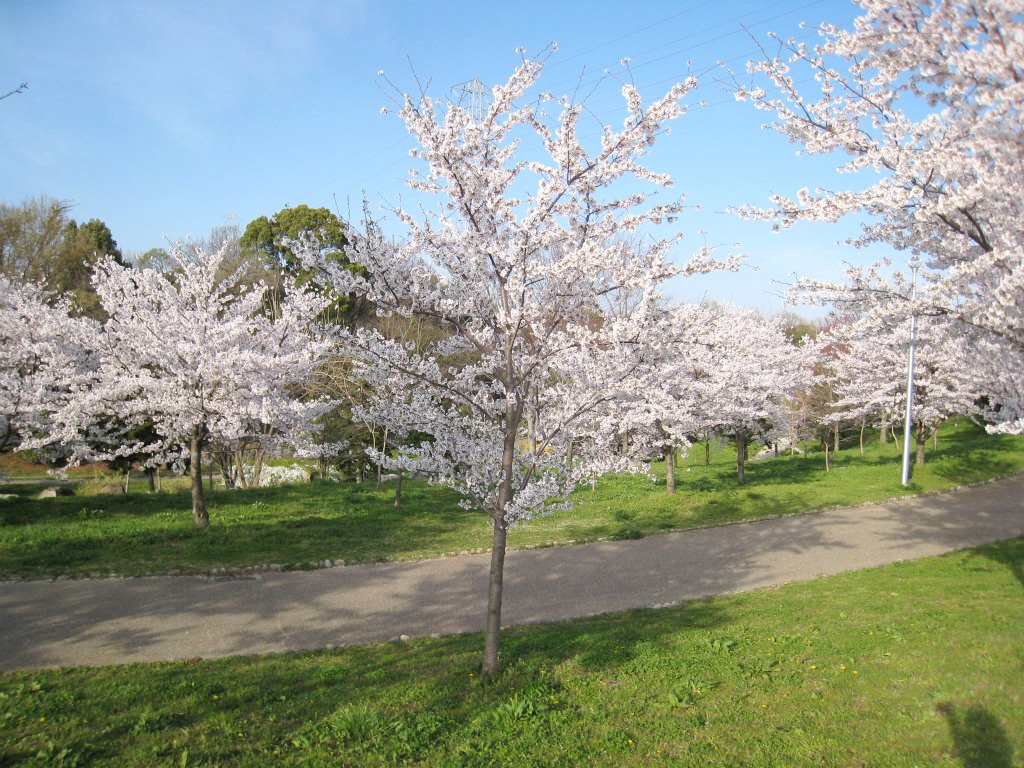 c0043751_1105334.jpg