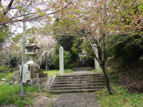 c0179351_1121494.jpg