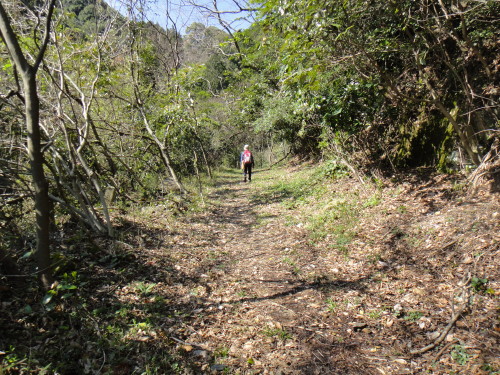 c0179351_16495721.jpg