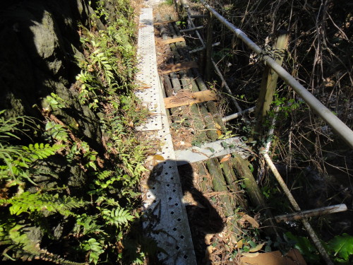 c0179351_16574648.jpg