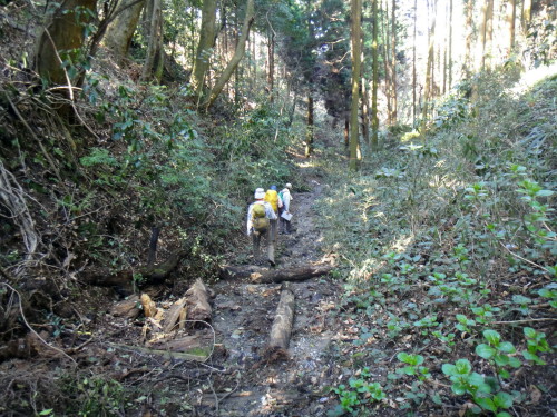 c0179351_17124477.jpg