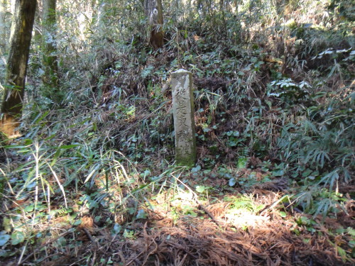 c0179351_172182.jpg