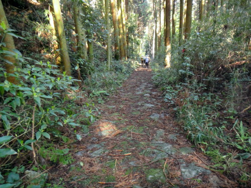 c0179351_17273591.jpg