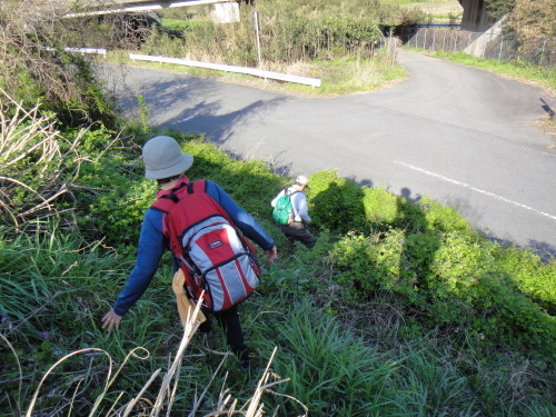 c0179351_1730610.jpg