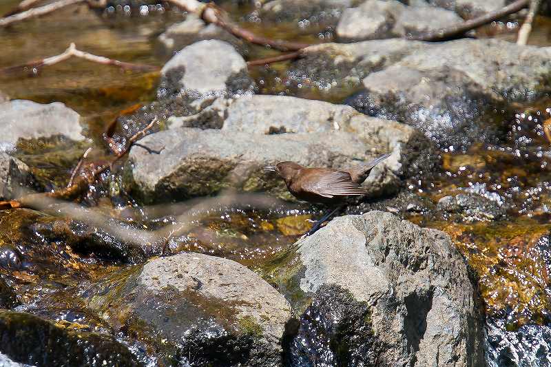 f0044056_21195526.jpg