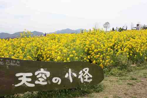 f0233356_22224886.jpg