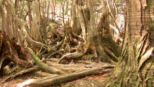 f0221258_22593683.jpg