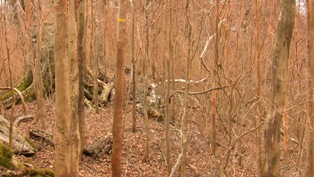 f0221258_22594853.jpg