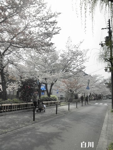 b0145863_22322491.jpg