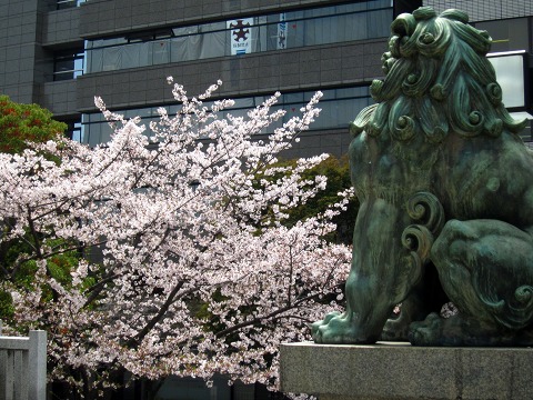 b0145863_2337596.jpg