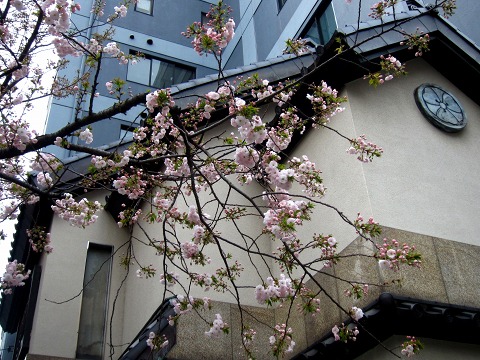 b0145863_23454892.jpg
