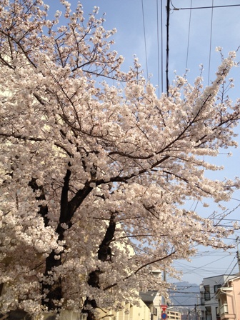 c0032863_21472771.jpg