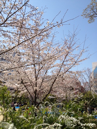 c0032863_21483846.jpg