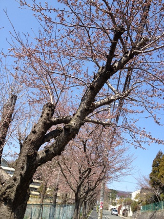 c0032863_2148891.jpg