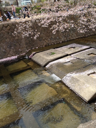 c0032863_21504278.jpg