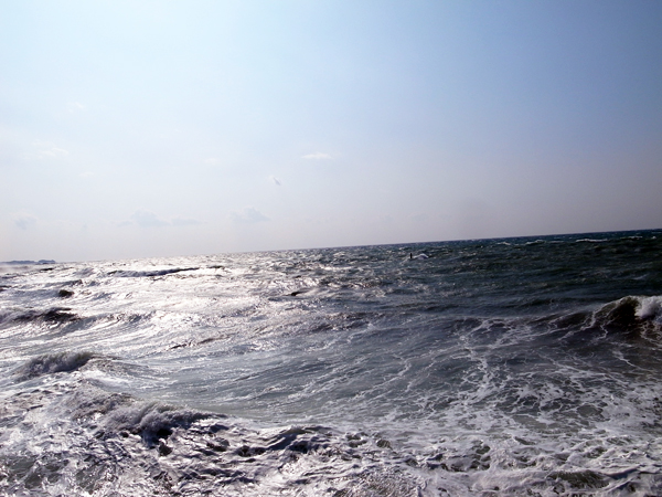 c0048265_1928866.jpg