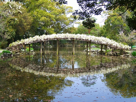 e0002466_20334111.jpg