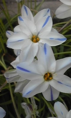 e0143667_12594990.jpg