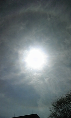 e0143667_1323847.jpg