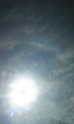 e0143667_1325038.jpg