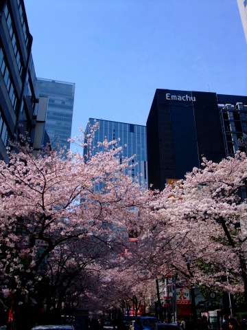 e0045768_2222126.jpg
