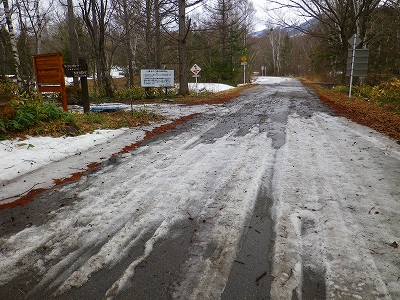 f0182173_16342782.jpg