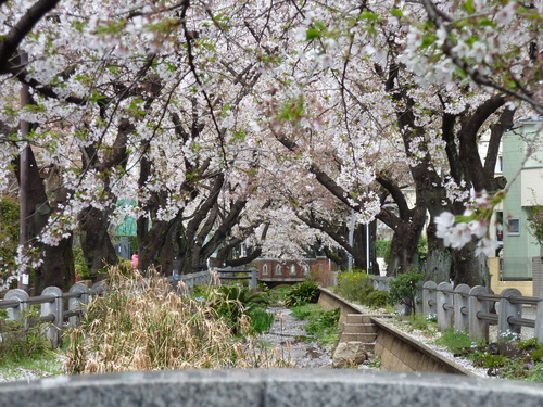 e0207477_0275987.jpg