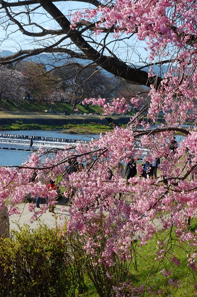 e0252879_2010835.jpg