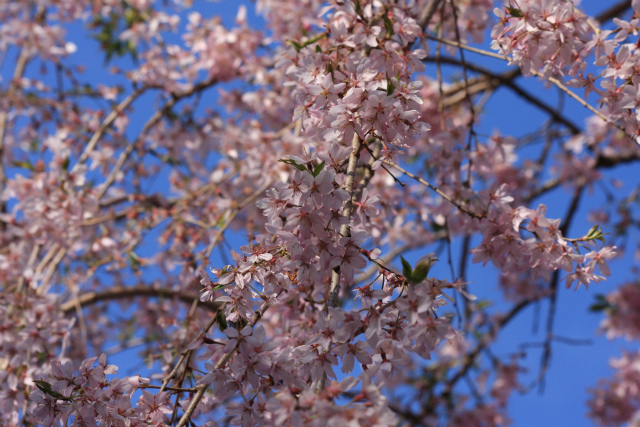 b0003280_0255397.jpg