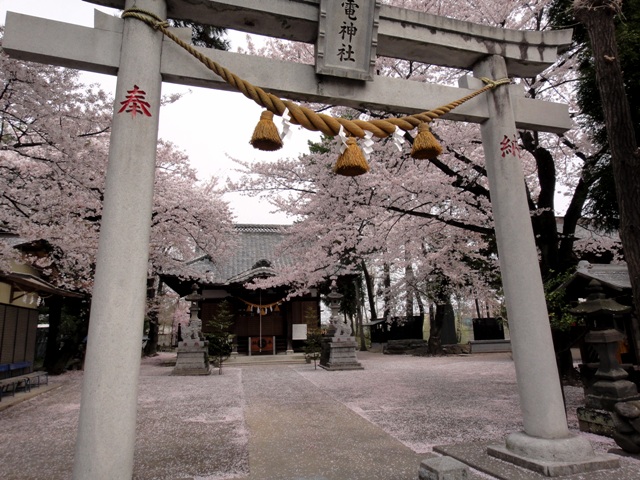 c0157482_21465352.jpg