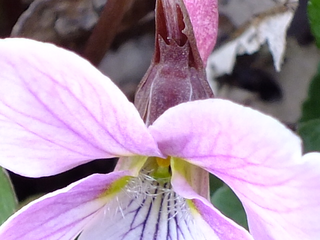 e0145782_2015213.jpg