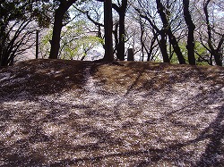 a0142083_109517.jpg