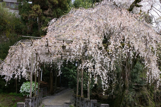 b0080789_209393.jpg