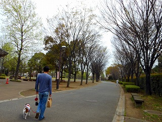 e0121589_19372112.jpg
