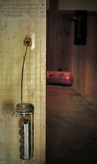 f0077789_1491062.jpg