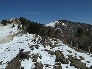 e0271890_1745550.jpg