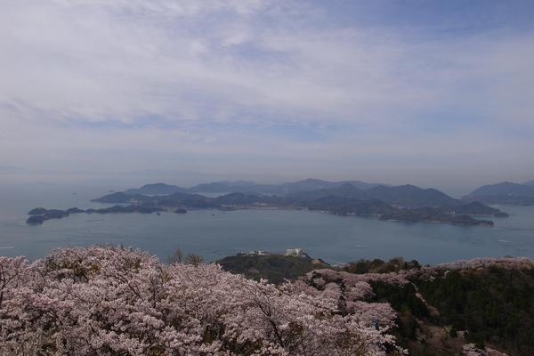 c0190391_20254358.jpg