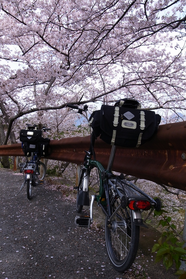 c0190391_2111271.jpg