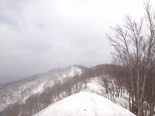 f0125091_2310519.jpg