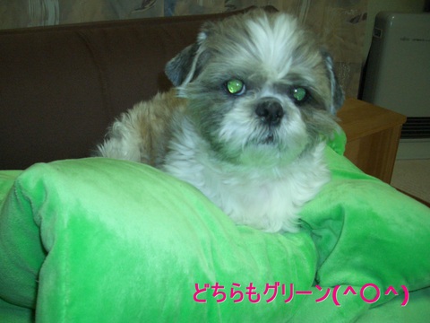 b0124693_20113993.jpg