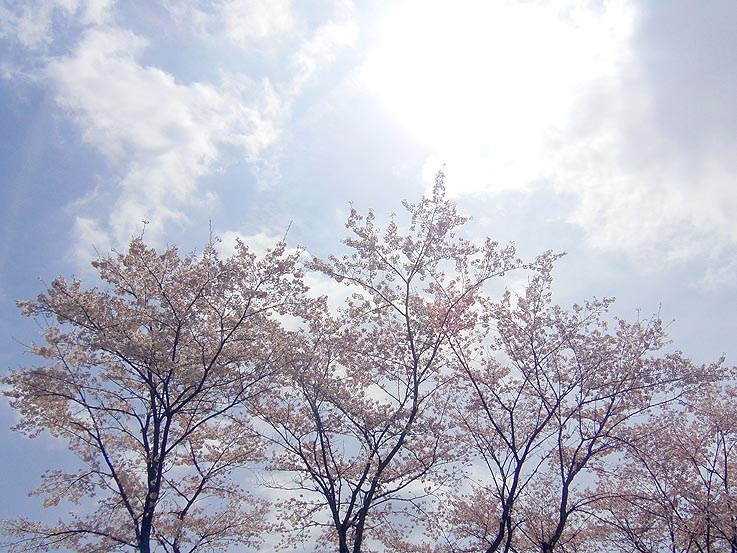 c0004193_22461883.jpg